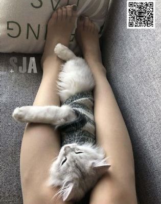 熊熊帮帮团二免费播放_蓝光在线视频观看