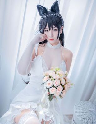 九重紫电视剧在线播放视频观看27_4K免费在线播放